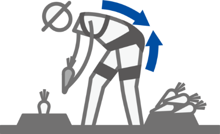 Assisting forward-bending postures in agricultural work
