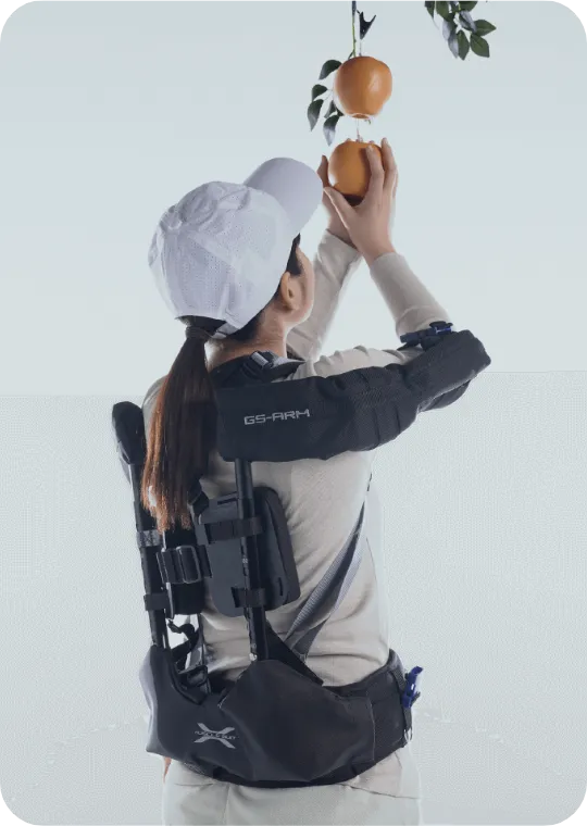 収穫をする様子