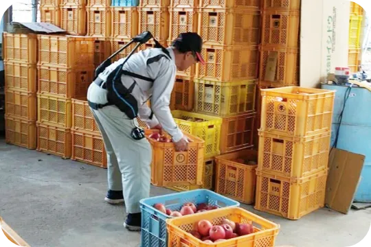 積み下ろしの様子