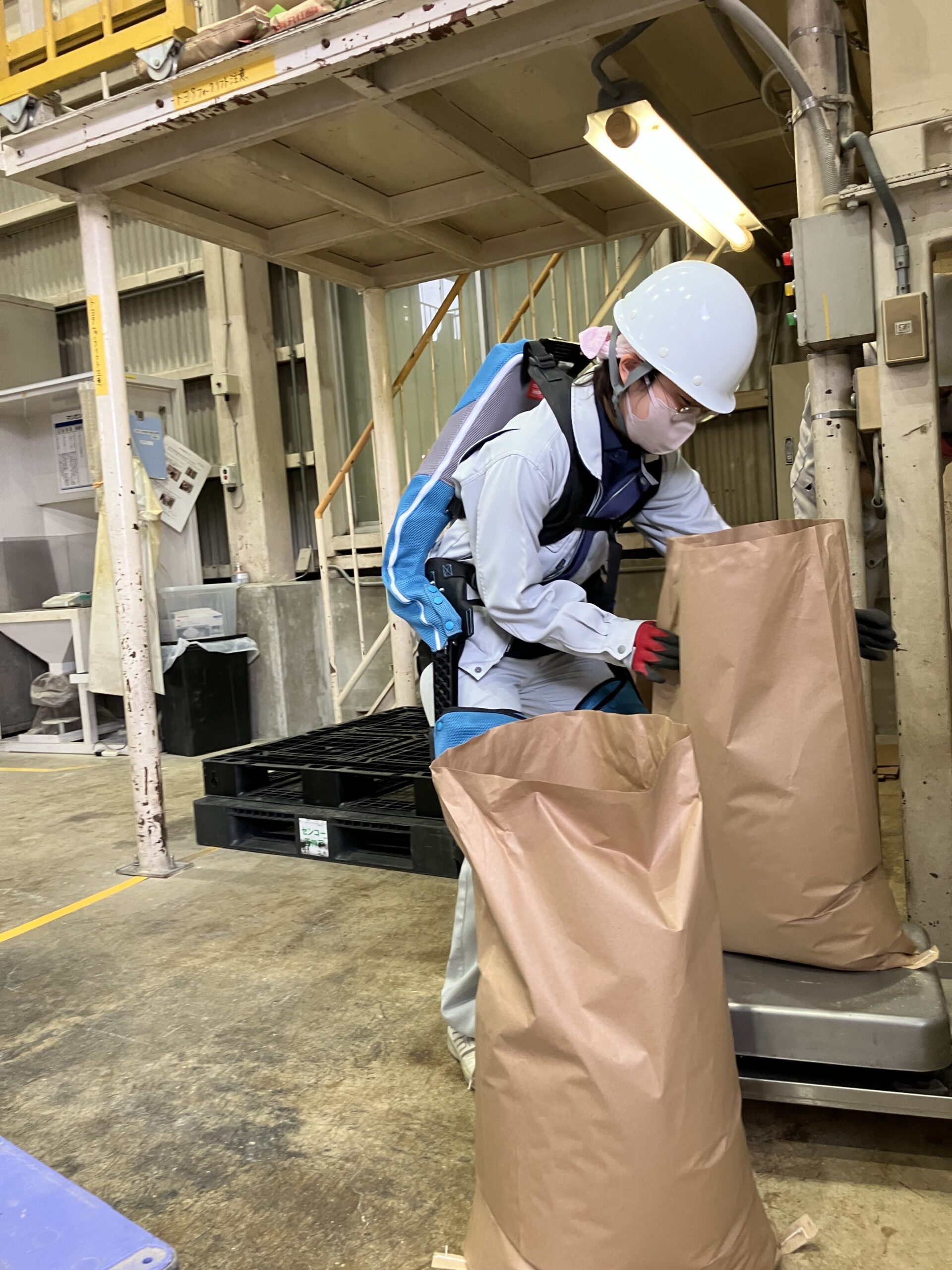 日清丸紅飼料株式会社 飼料製造現場での作業風景