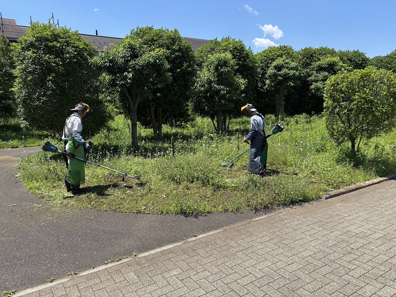 武蔵村山市シルバー人材センター様での除草作業の様子