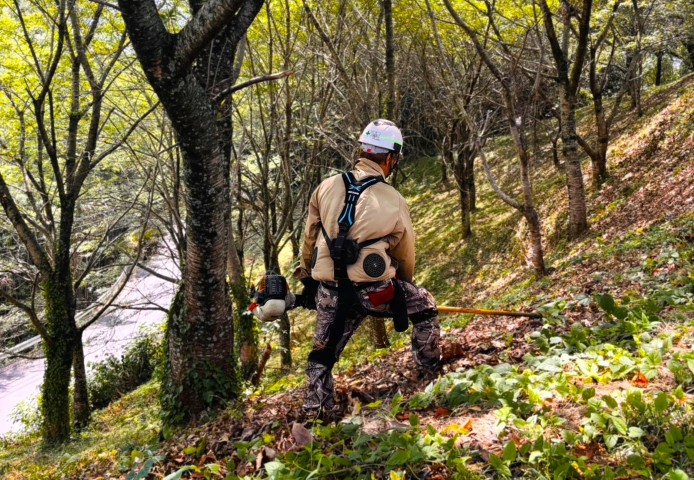 急斜面での草刈り作業を行う香川西部森林組合のスタッフとマッスルスーツ